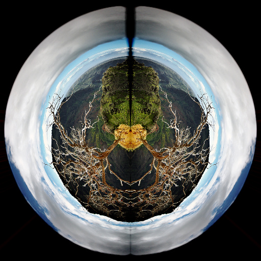 Polar Distort by CFandM