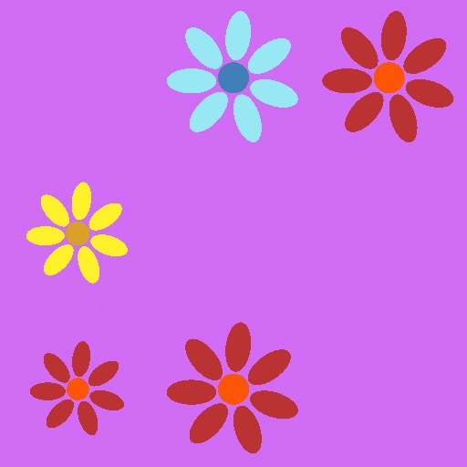 Variation 3