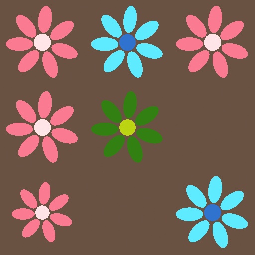 Variation 5