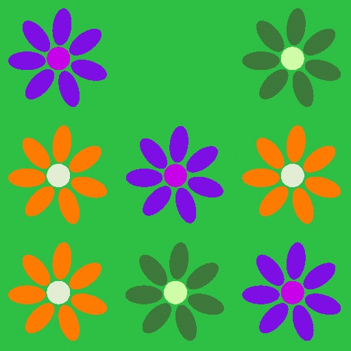 Variation 6