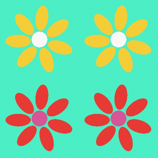 Variation 7