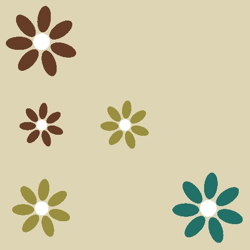 Variation 8