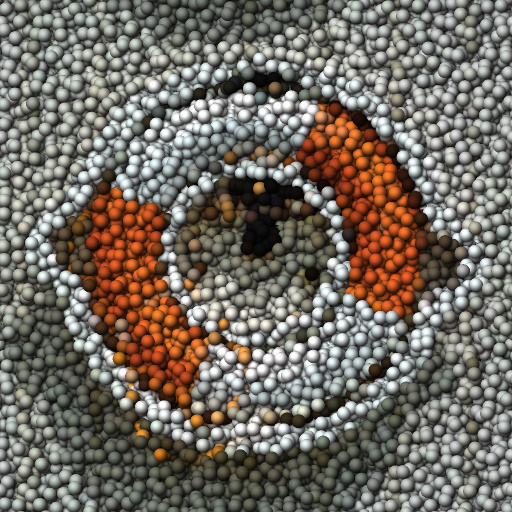 Variation 3