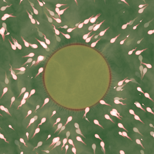 Variation 1