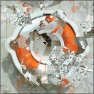 Chaotic Distorter