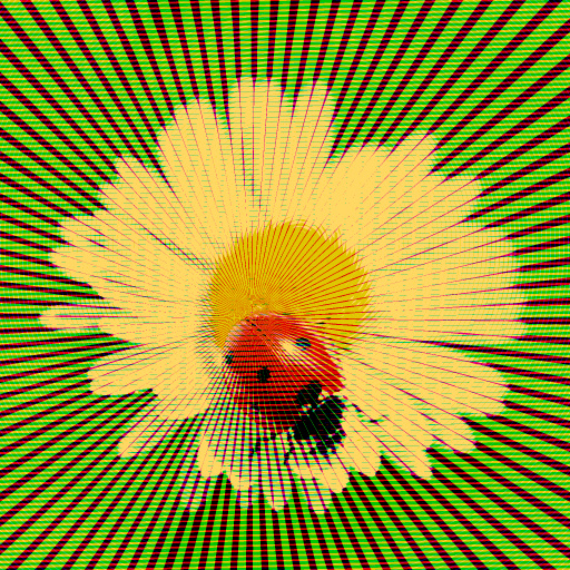 Variation 6
