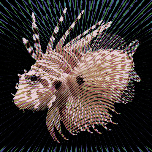 Variation 8