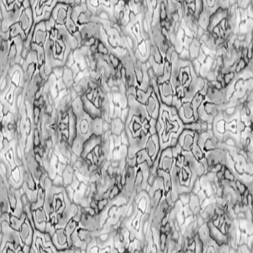 Variation 7