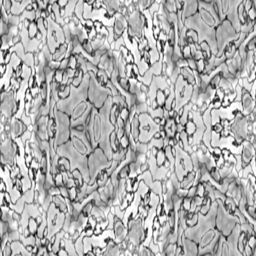 Microscopic Paterns (Texture)
