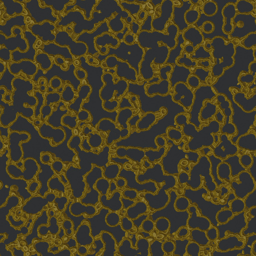 Variation 4