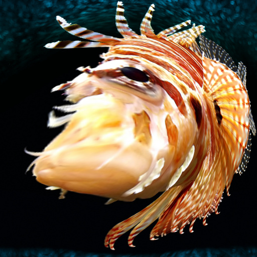Variation 3