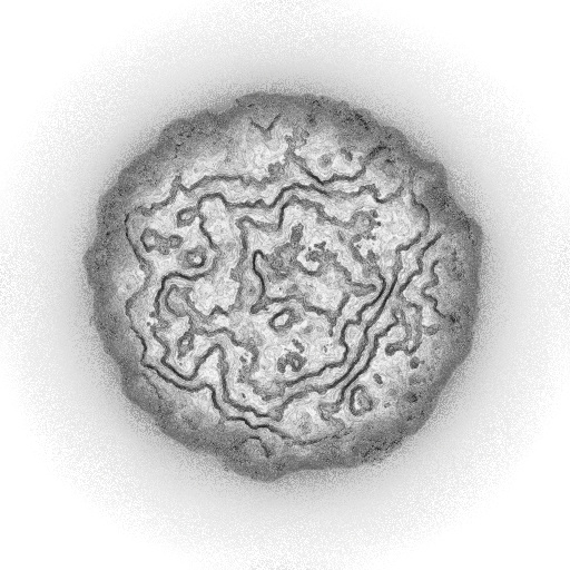 Ambient Occlusion Map