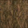 TreeBark