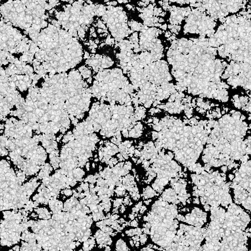 Ambient Occlusion Map