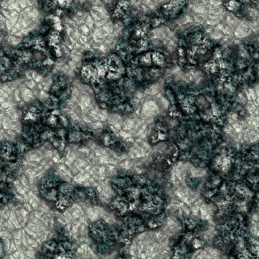 Variation 6