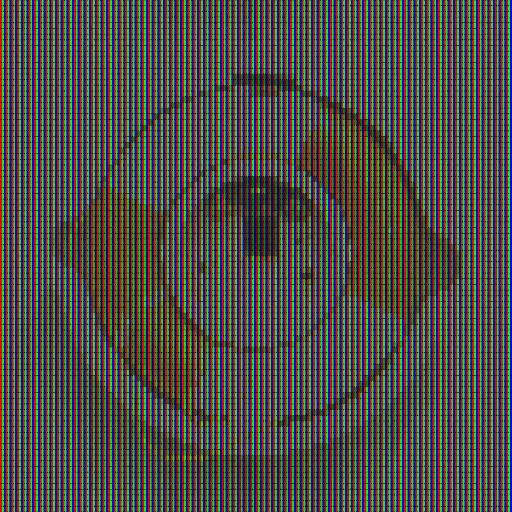 Variation 4