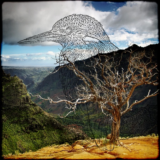 Sketch on Image by Mardar