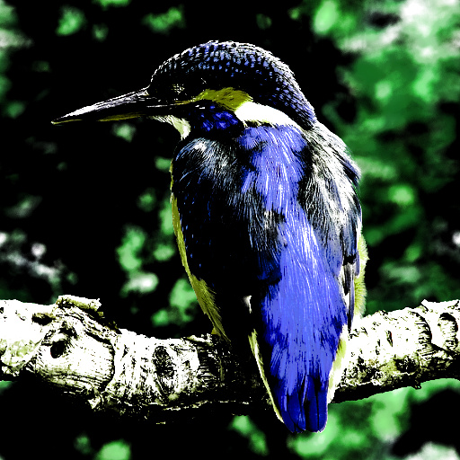Variation 3
