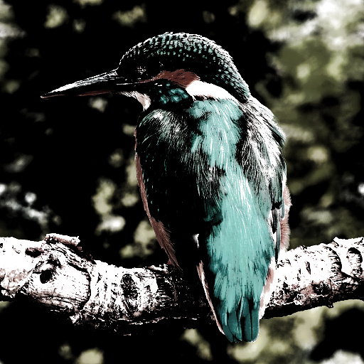 Gothic Photo Color Effect (Effect)