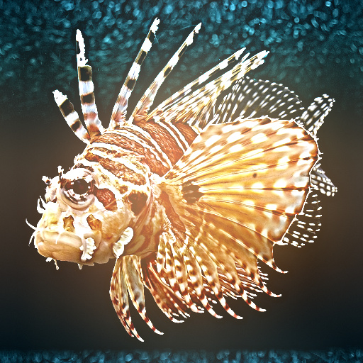Variation 7
