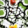 Organic Tangled Web Distortion