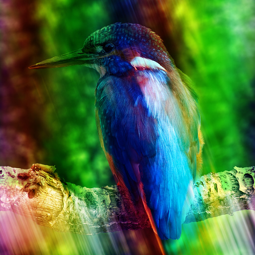 Variation 3