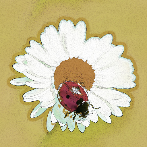Variation 5