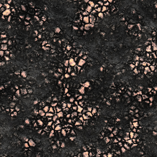 Variation 3