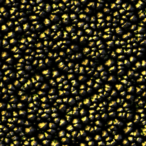 Variation 3