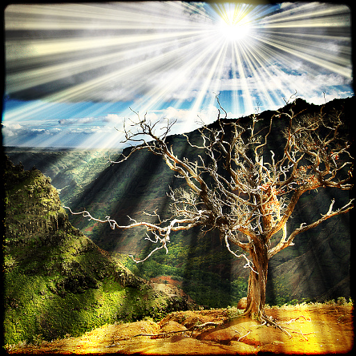 Light Beams