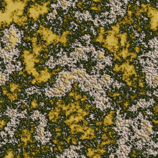 Variation 4
