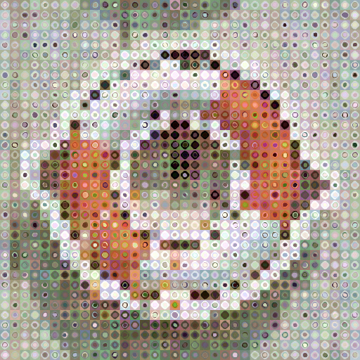 Variation 6