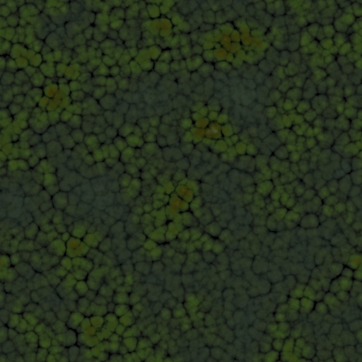 Diffuse Map