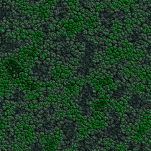 Variation 5