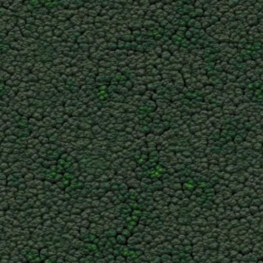 Variation 8