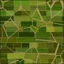 distant farms