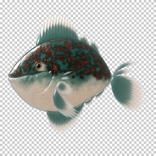 Variation 7