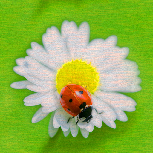 Variation 7