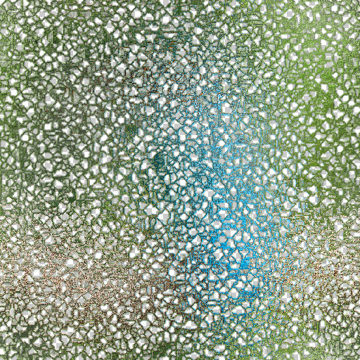 Variation 6