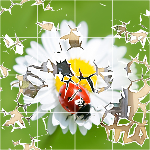 Diffuse Map
