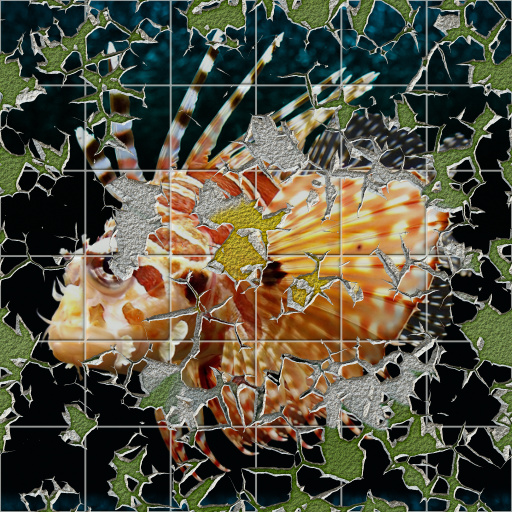 Variation 4