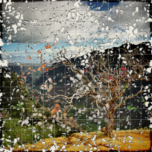 Variation 5