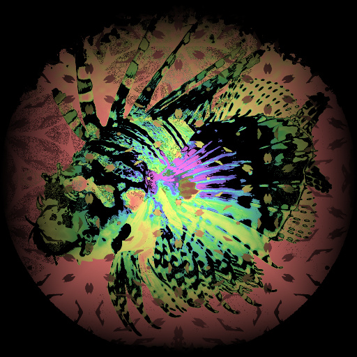 Variation 6
