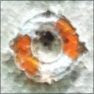Chipped and Eroded 1a