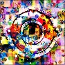 Trippy Hippy