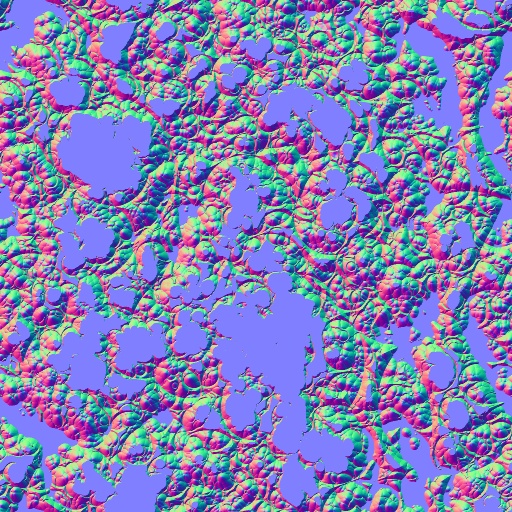 Normal Map