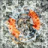 Flower Patterns 2