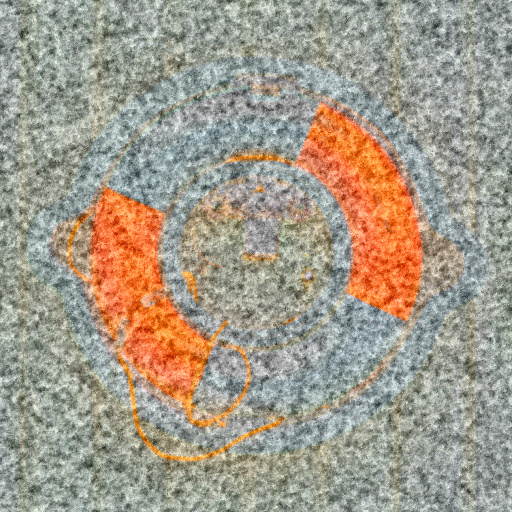 Variation 3