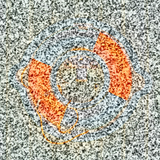 Variation 4
