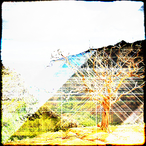Variation 7